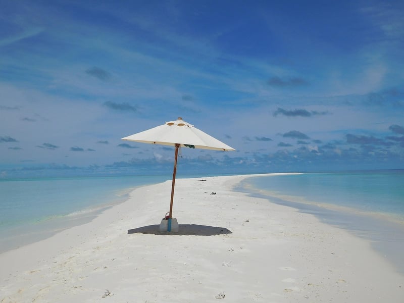 Seaside Paradise